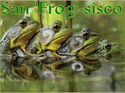San  Frog  sisco  1 